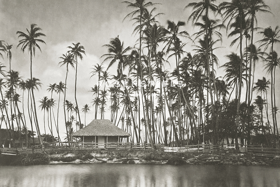 Hawaiian Shore - The Vintage Collection
