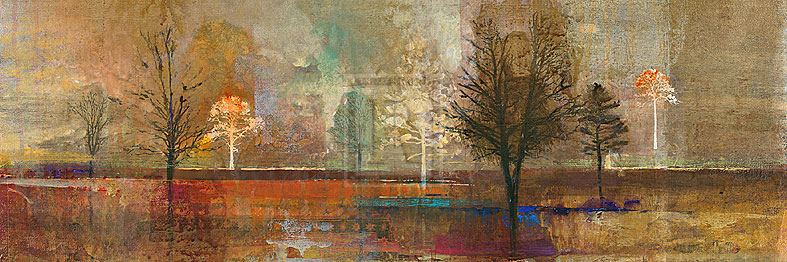 Tree Shadows I - Douglas