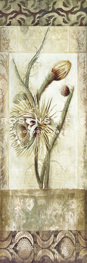 Fiorindo Vita II - Douglas