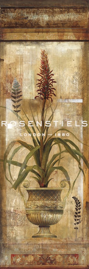 Rojo Botanical II - Douglas