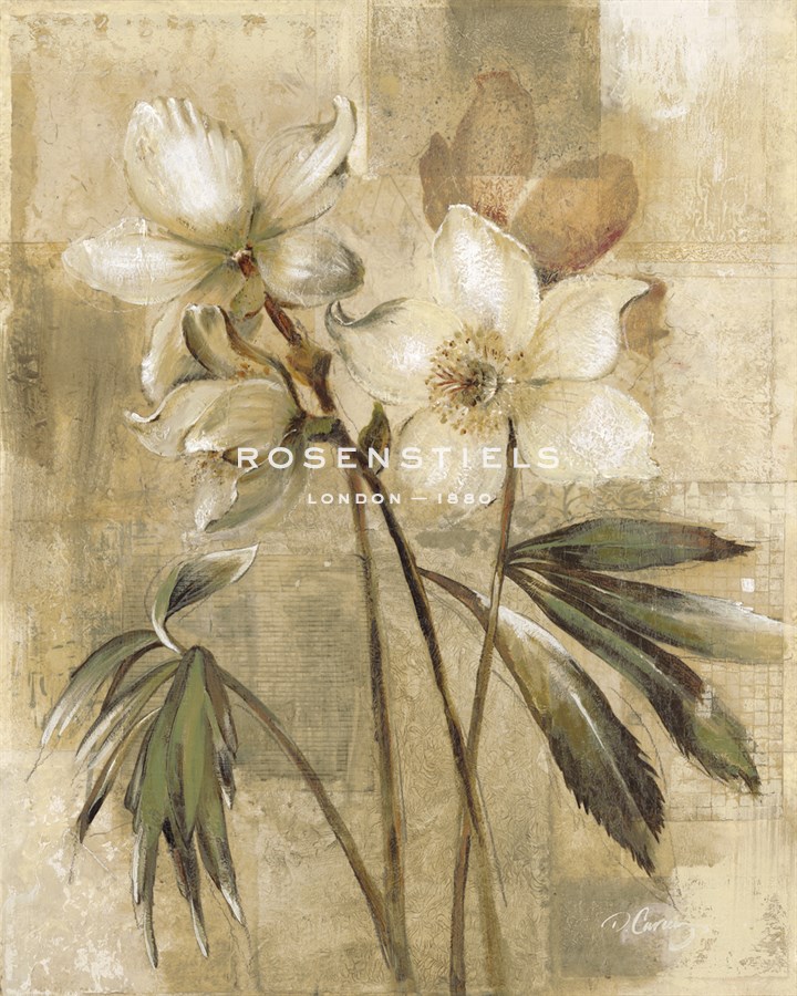 Captive Beauty I - Carney
