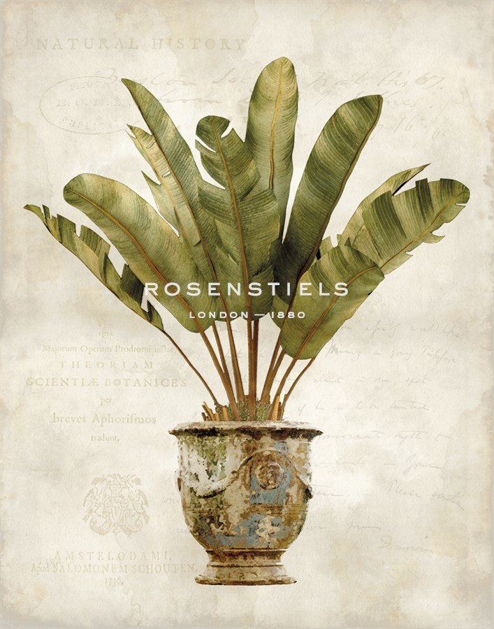 Botanica Tropical - Emma Hill