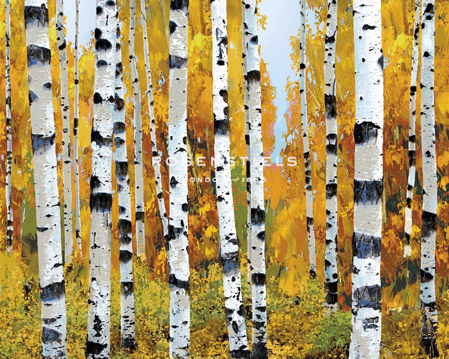 Vail - Mark Chandon
