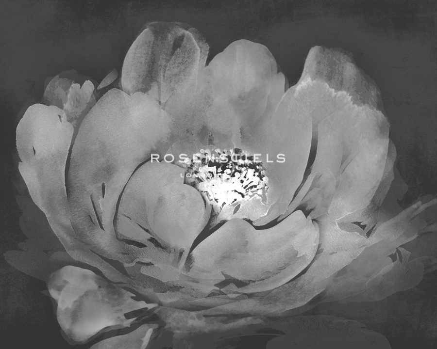 Delicate Blossom - Dusk - Tania Bello