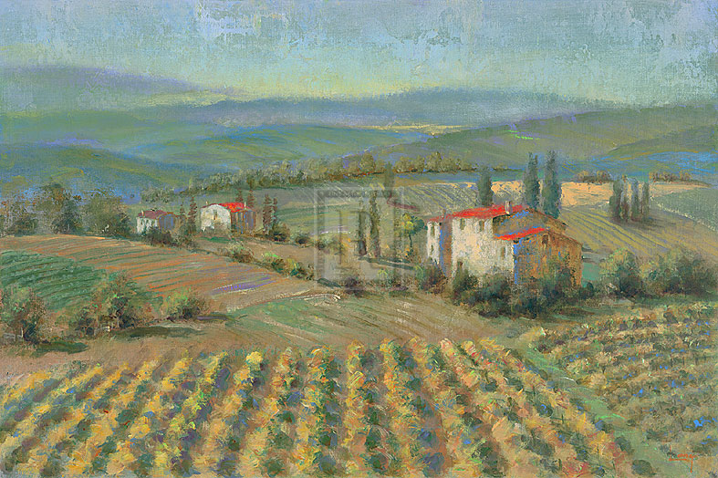 Hills Of Tuscany - Longo
