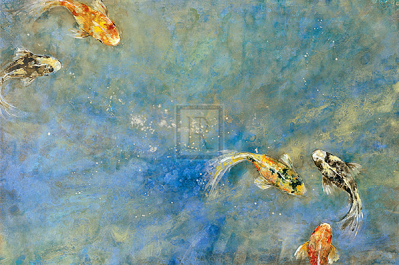 Butterfly Koi - Bridges