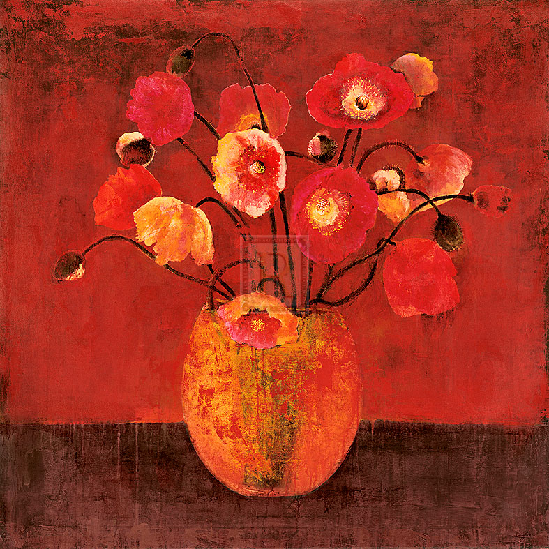Red Magellan II - Douglas