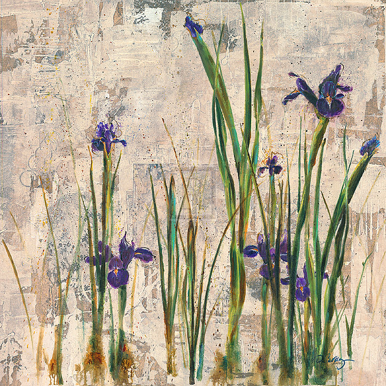 Iris Mist - Carney