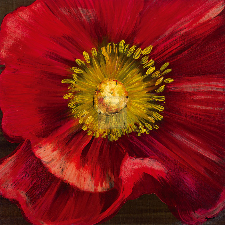 Chocolate Poppy I - Dysart