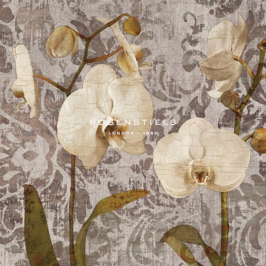 Damask Blooms I - Tania Bello