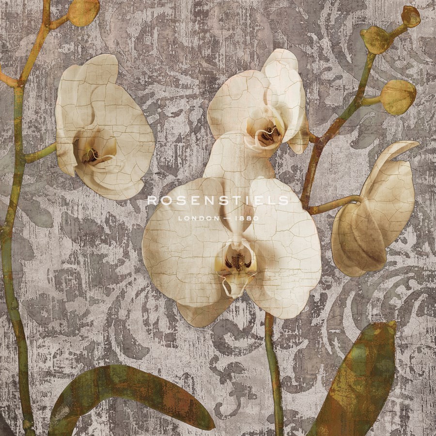 Damask Blooms II - Tania Bello