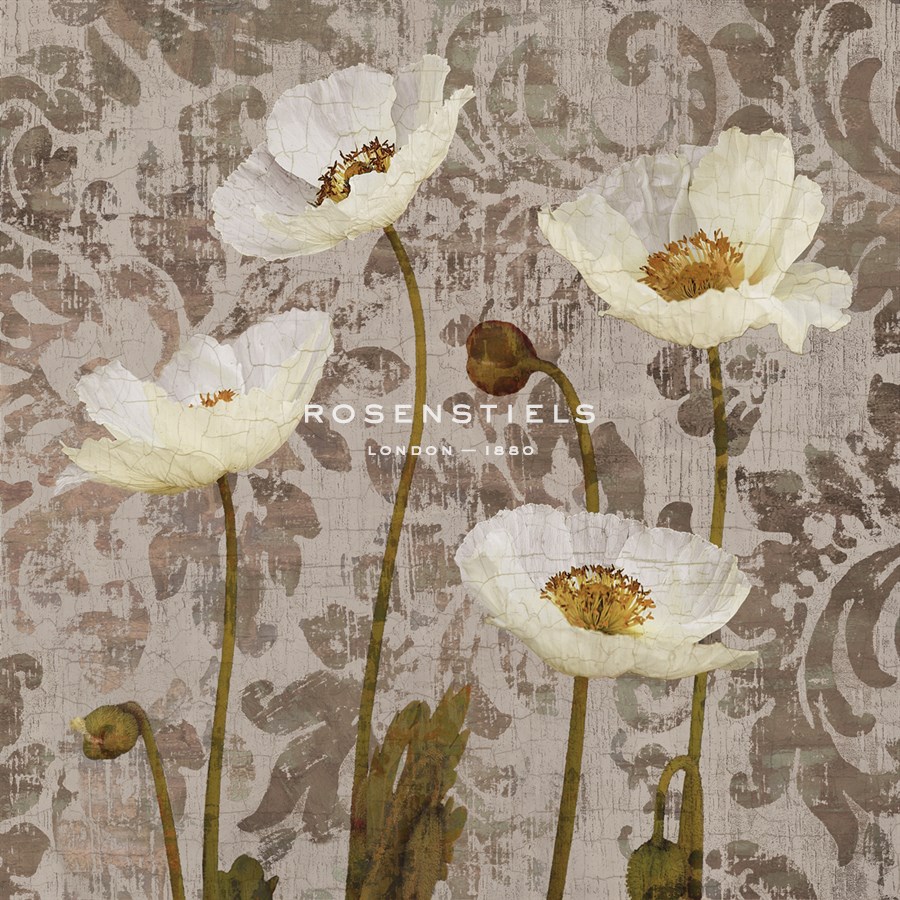 Damask Blooms III - Tania Bello