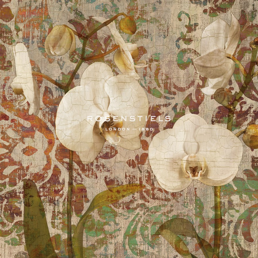 Orchid Crackle II - Tania Bello