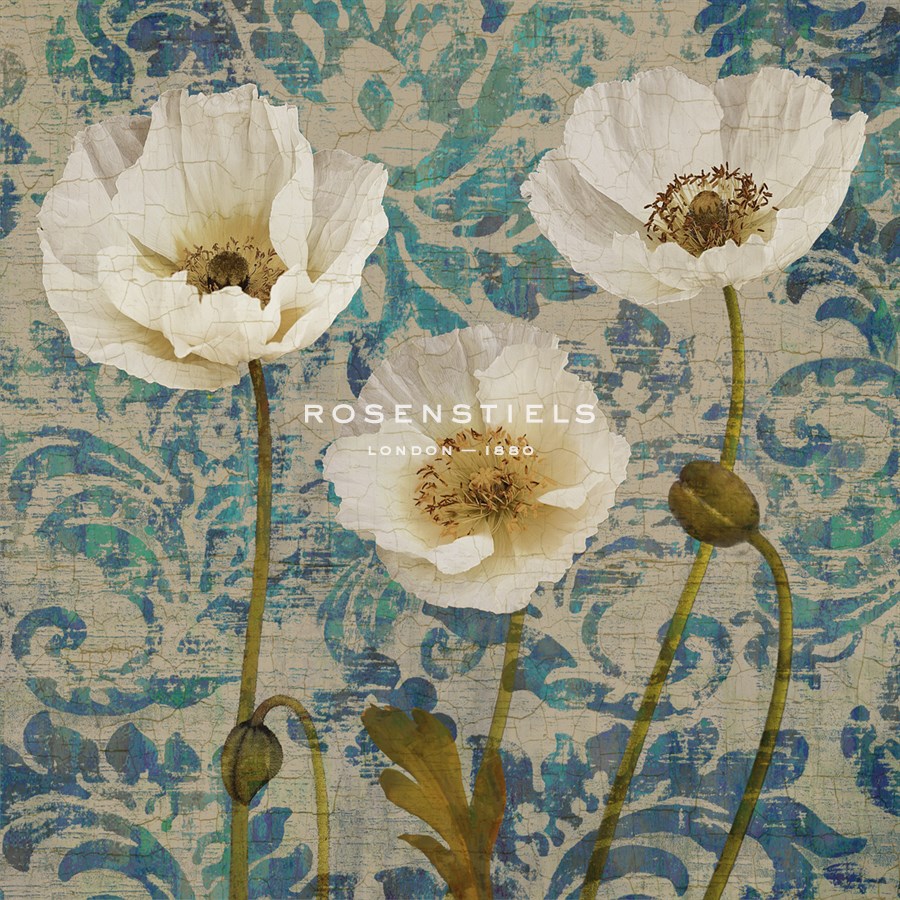 Poppies Crackle III - Tania Bello
