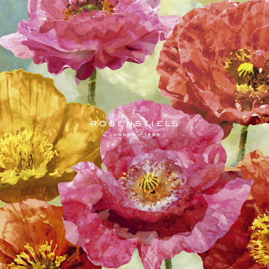 Playful Poppies II - Tania Bello