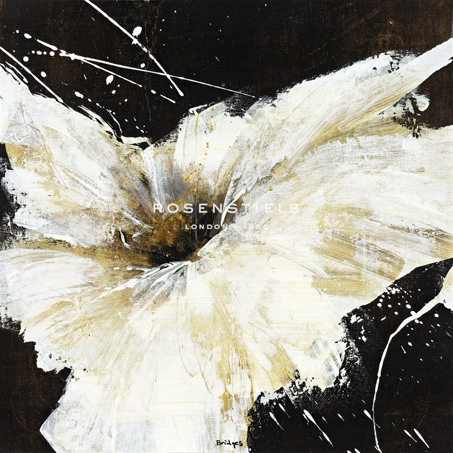 Blanco Flor I - Bridges