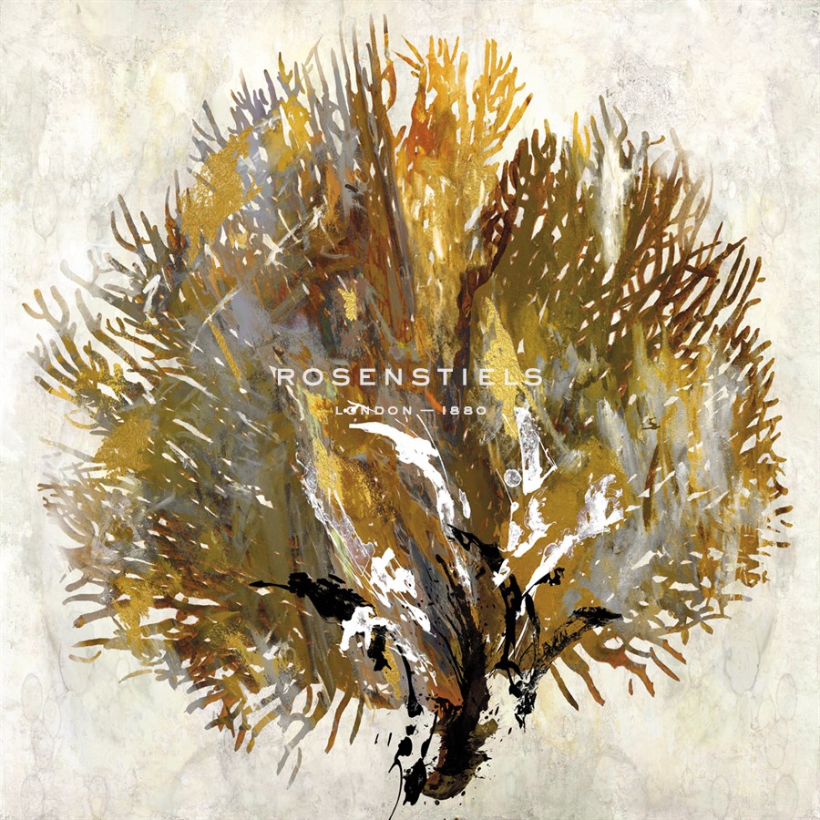 Sea Fan I - Paul Duncan
