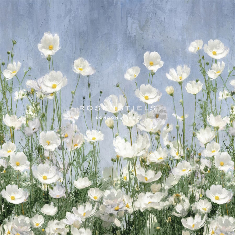 Cosmos Meadow - Tania Bello