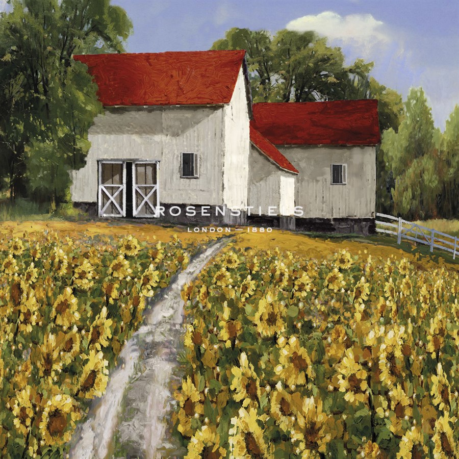 Sunflower Path - Mark Chandon