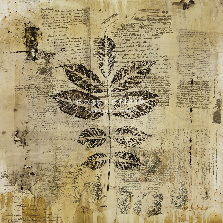 Botanical Sketchbook II - Carney