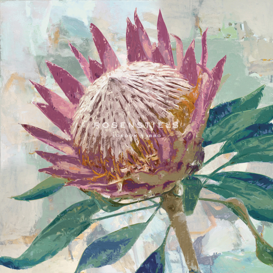 Protea King - Tania Bello