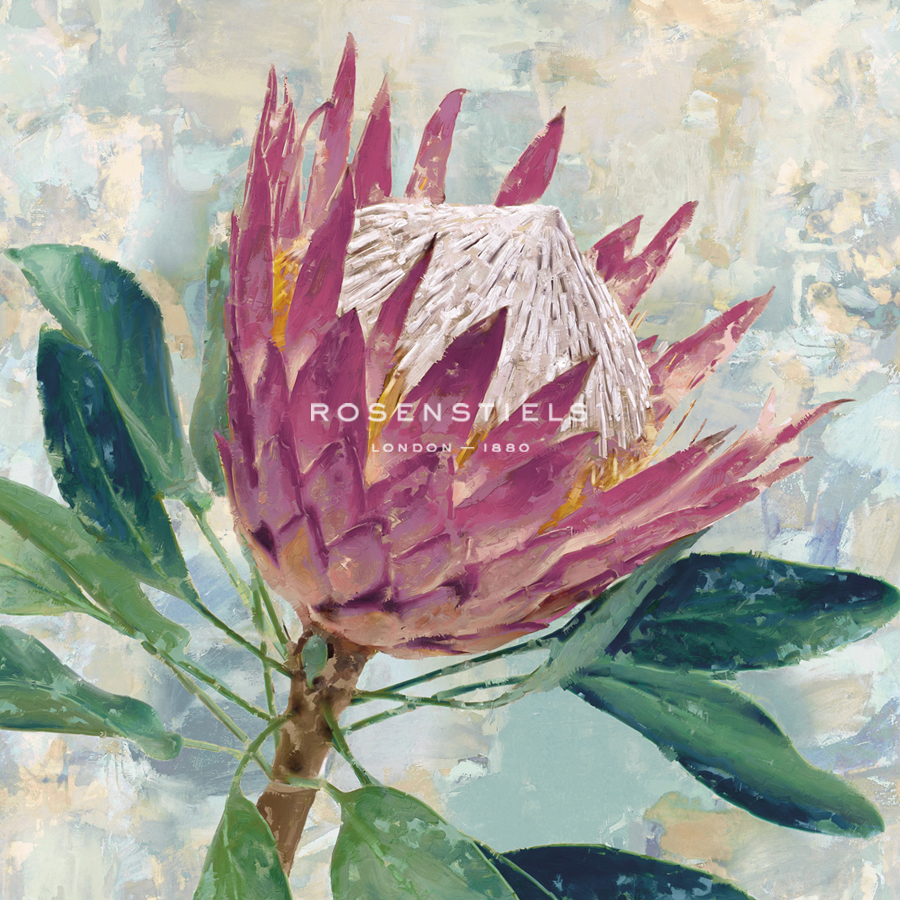 Protea Majestic - Tania Bello