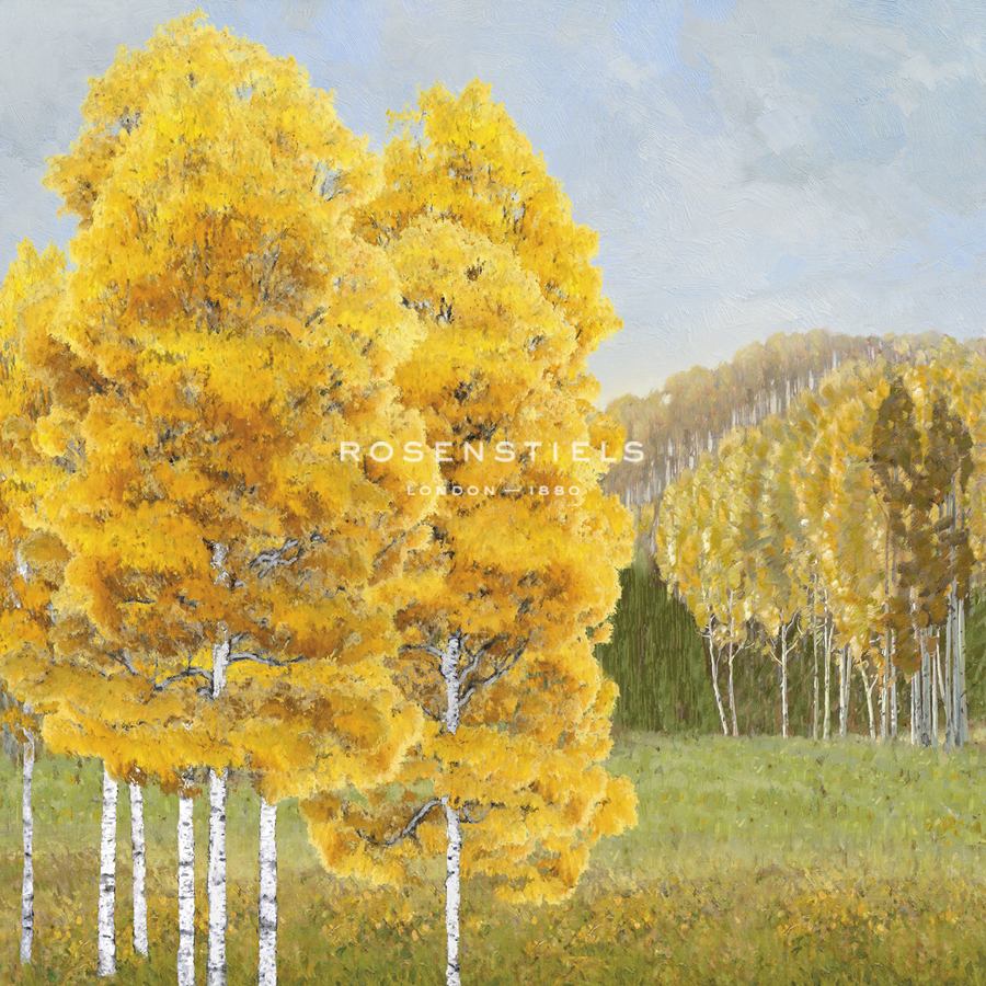 Roaming Countryside - Mark Chandon