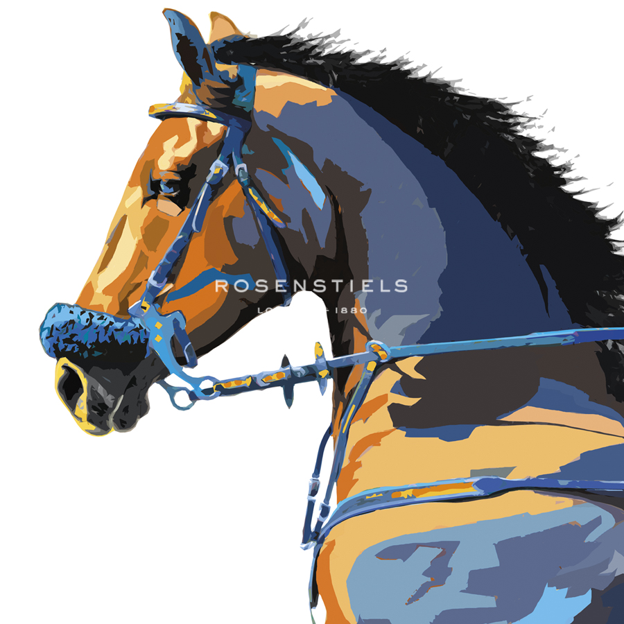 Equine Power - Pride - Mark Chandon
