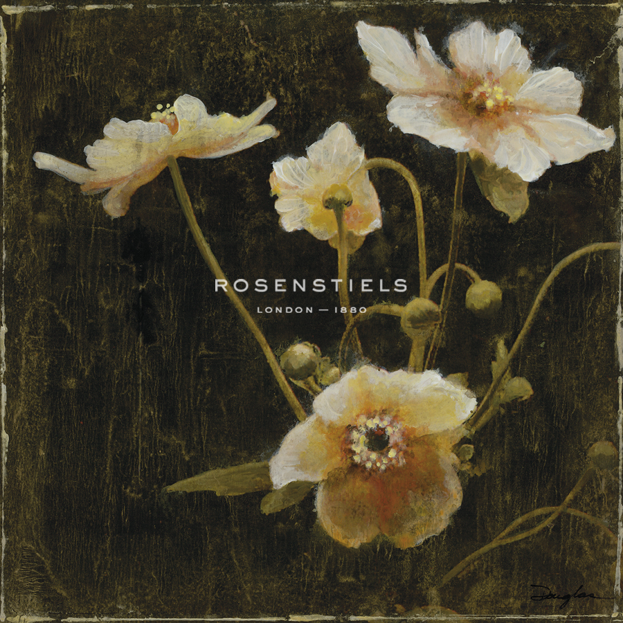 Midsummer Night Bloom II - Douglas