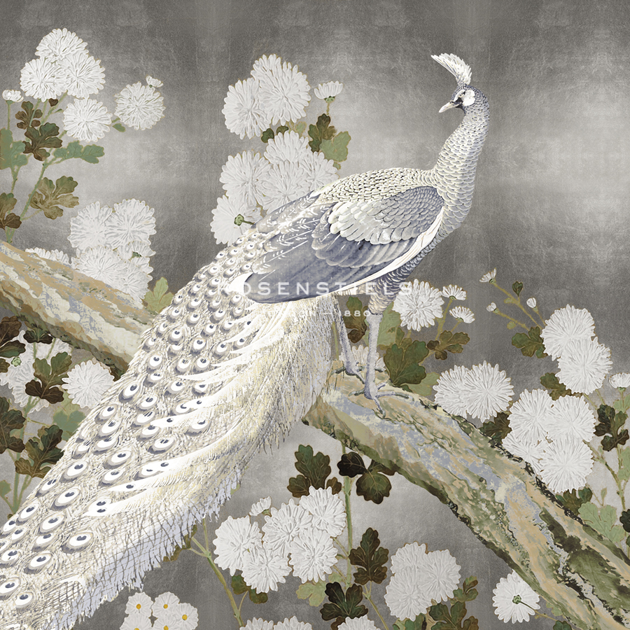 Silver Peacock - Mark Chandon