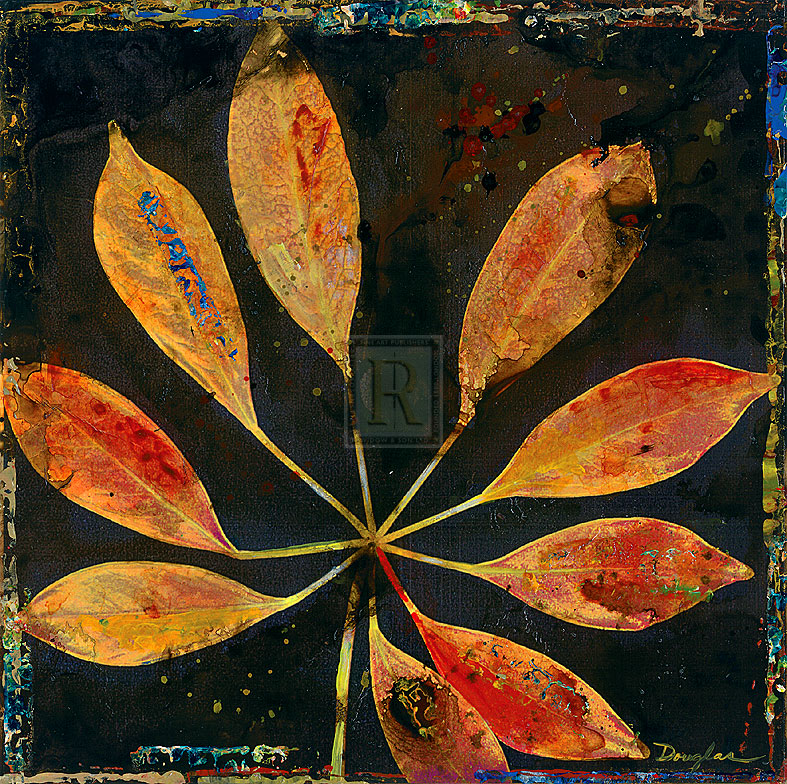 Botany Trip VII - Douglas