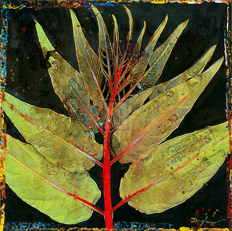 Botany Trip VIII - Douglas