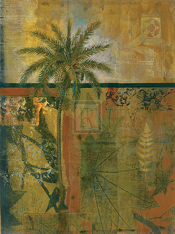 Equatorial Beauty III - Douglas