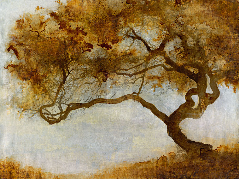 One Tree - Carney