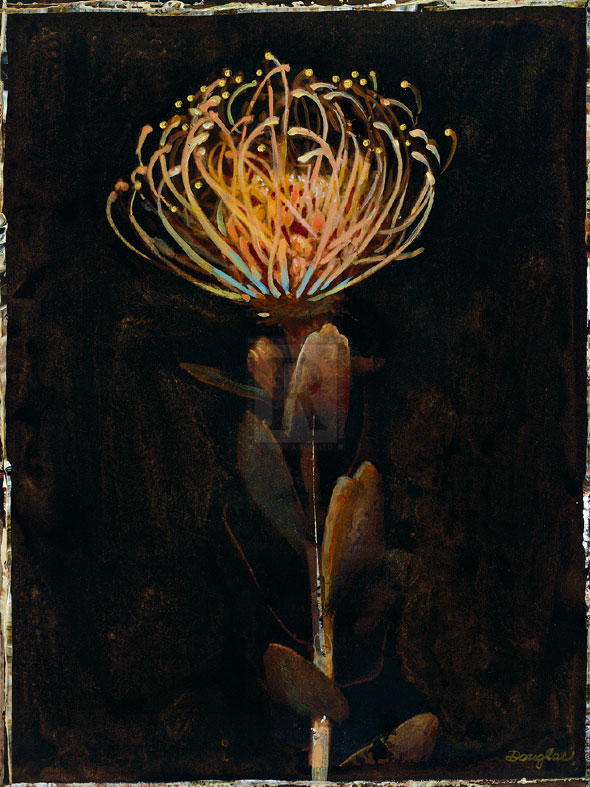 Floral Negative I - Douglas