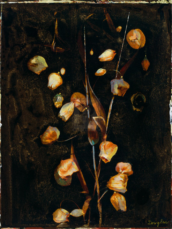 Floral Negative III - Douglas