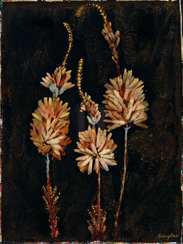 Floral Negative IV - Douglas