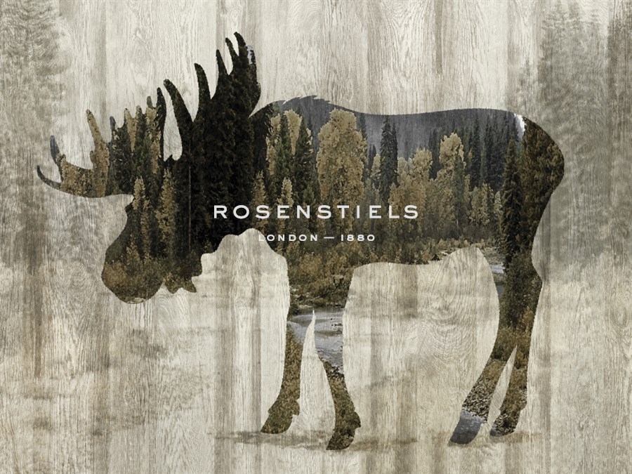 Camouflage Animals - Moose - Tania Bello