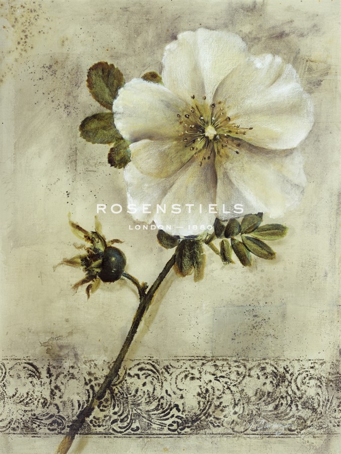 Floral Blush I - Carney