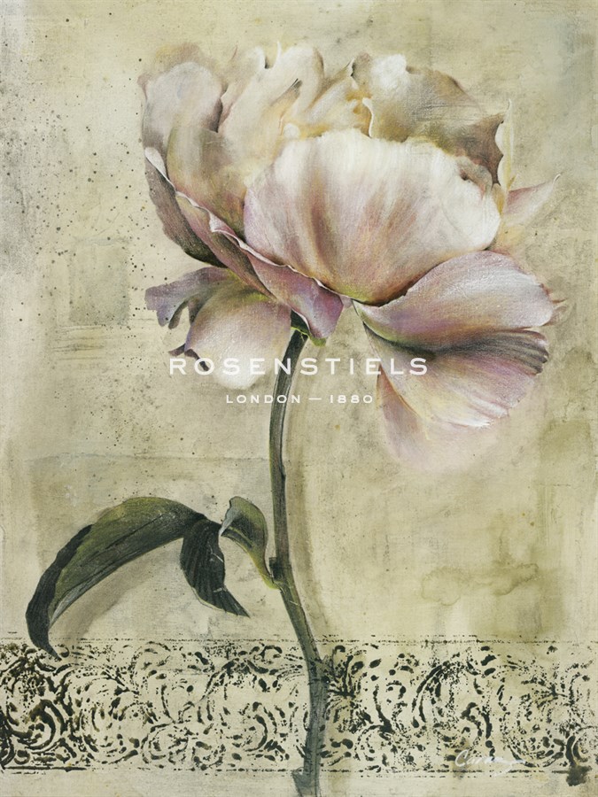Floral Blush II - Carney