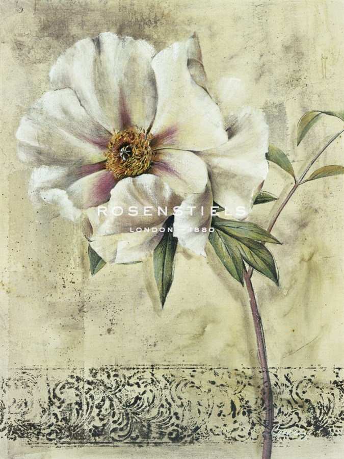 Floral Blush III - Carney