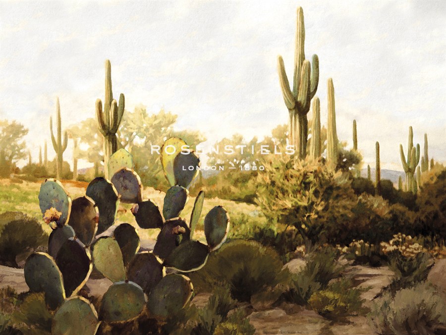 Desert Garden - Mark Chandon