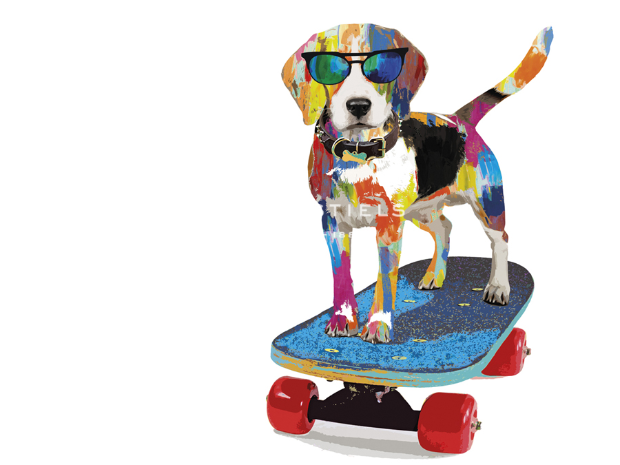 Skateboard B - Alan Lambert