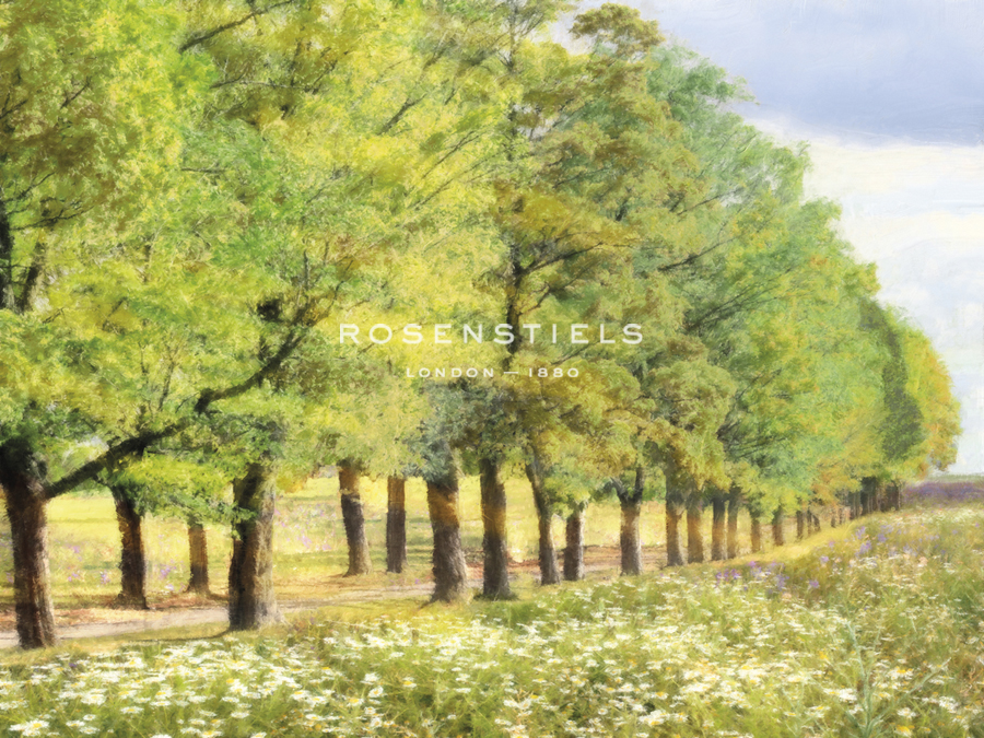 Avenue De L'Arbre - Tania Bello