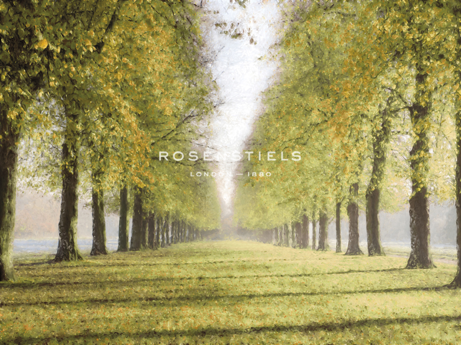 Avenue Des Arbres - Tania Bello