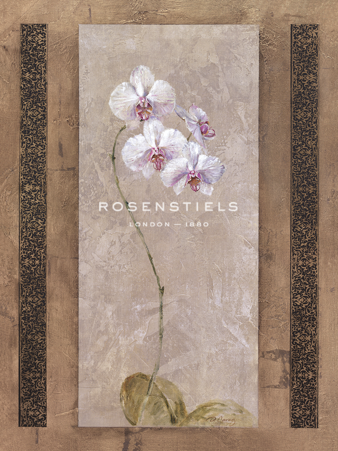Contemporary Orchid I - Carney