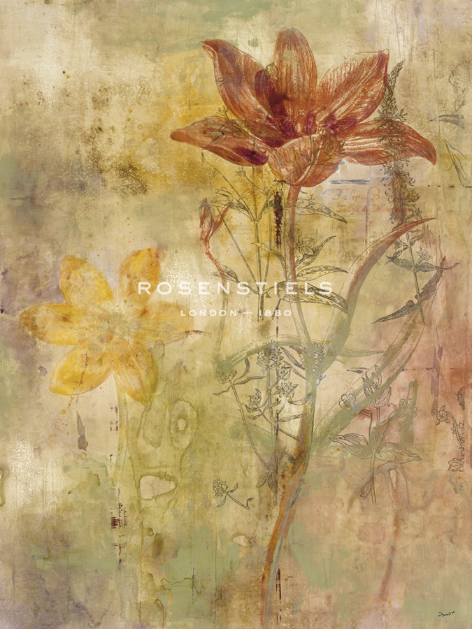 Botanica II - Dysart