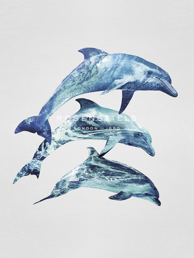 Mahi Mahi Trio - Tania Bello