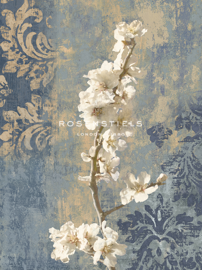 Blossom II - Tania Bello