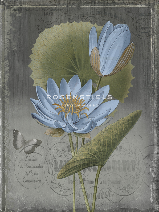 Black Botanical III - Emma Hill
